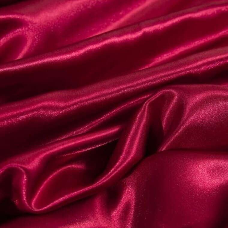 La reine des soumis 🐾👠 cover image