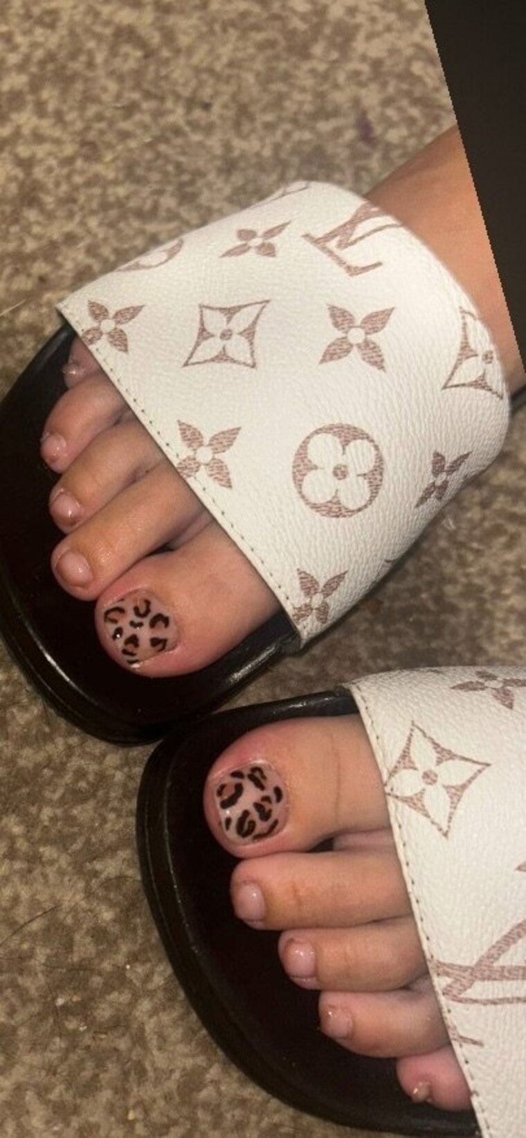 Maddie cover image