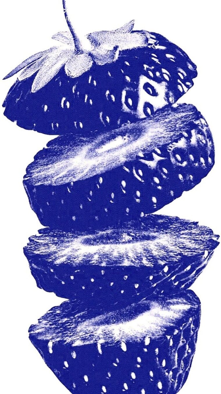 Guadalupe Ramirez cover image