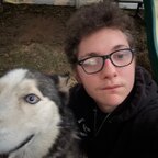 Maddox the wolf avatar