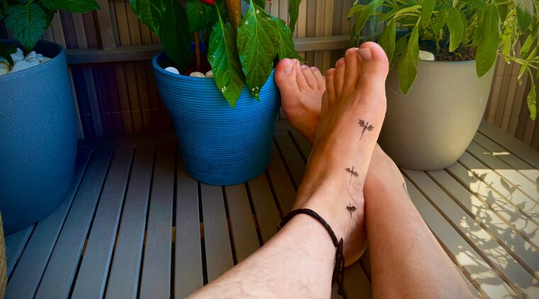 Tom's Barefoot Journey cover image