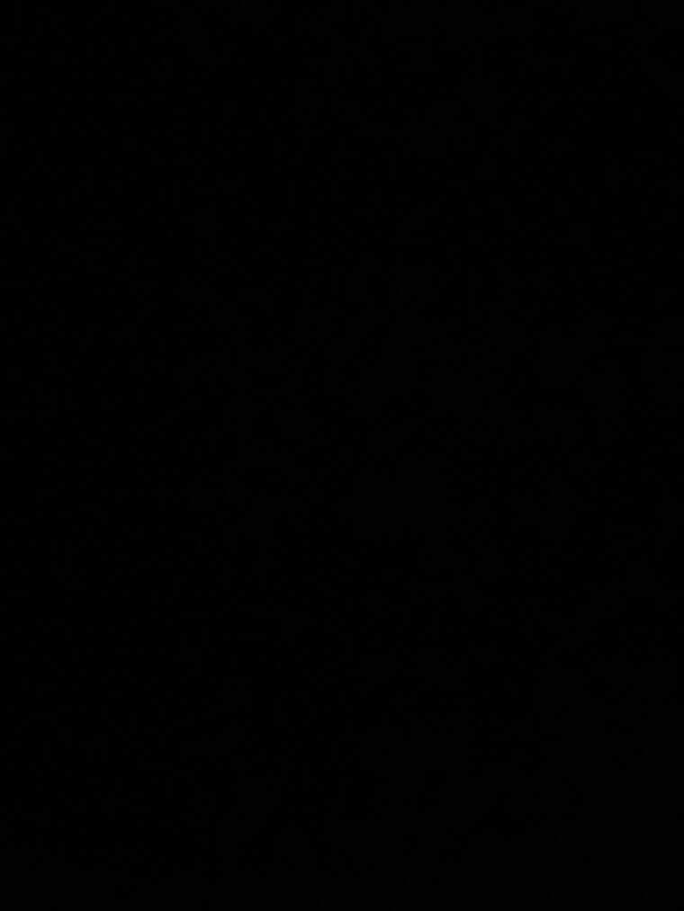 Haley banner image