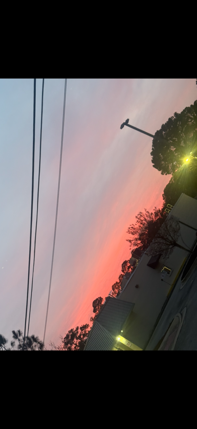 Ana Delas banner image