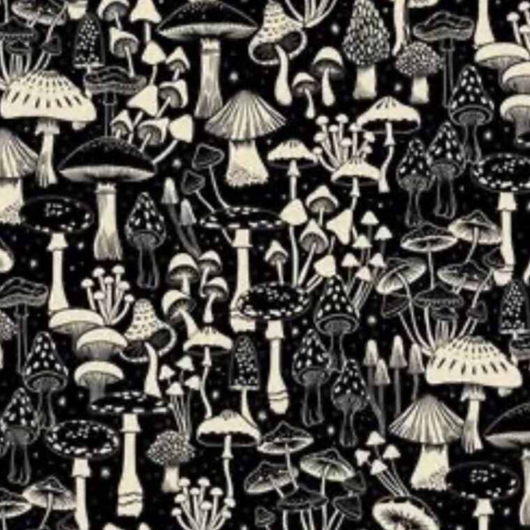 Mushroom.bxby cover image