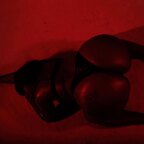 Hatiangoddess95 avatar