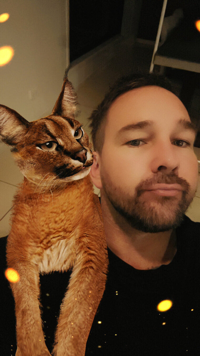 Cat daddy cover image