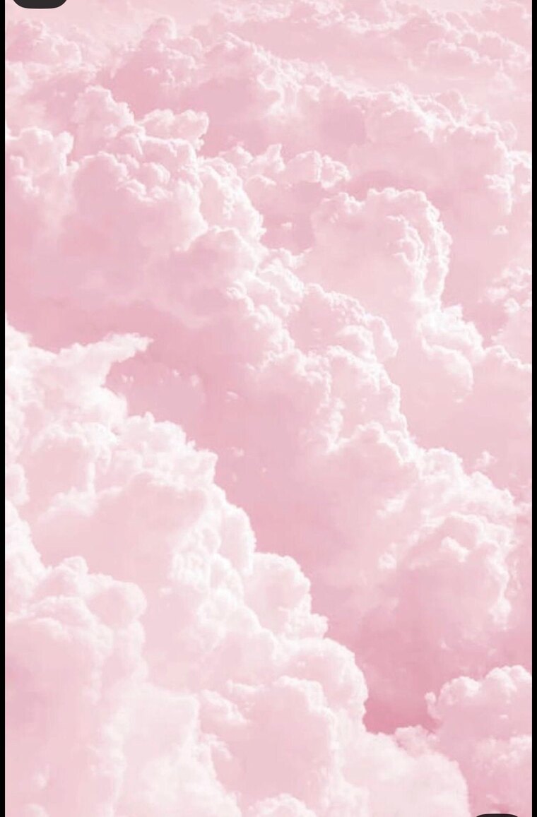 newparadise cover image