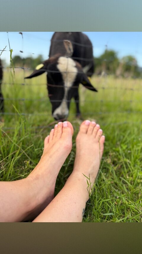 🌿 Barefoot Meadow cover image