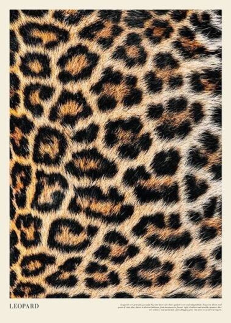 Coco Bliss cover image