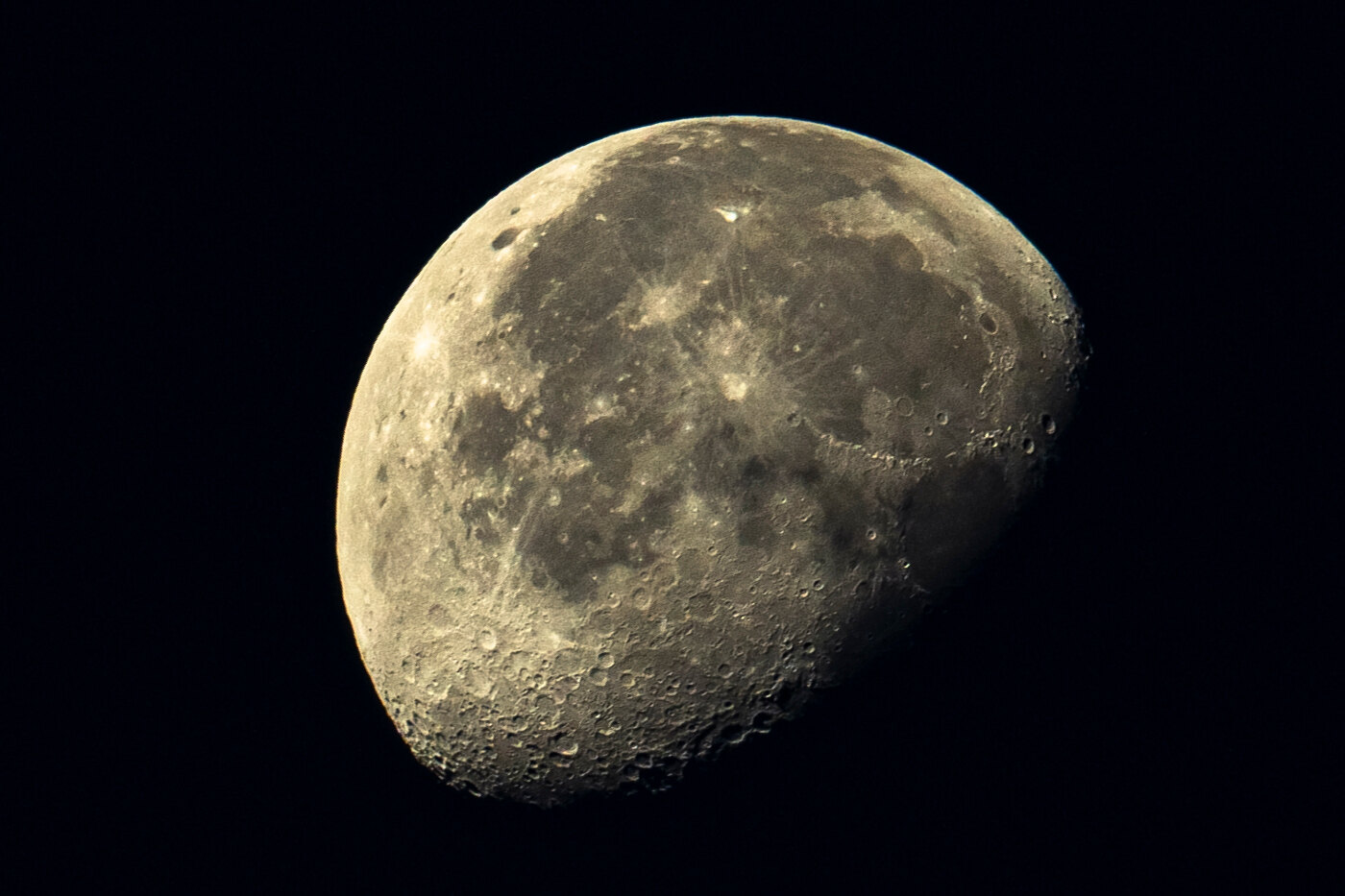 Canay banner image