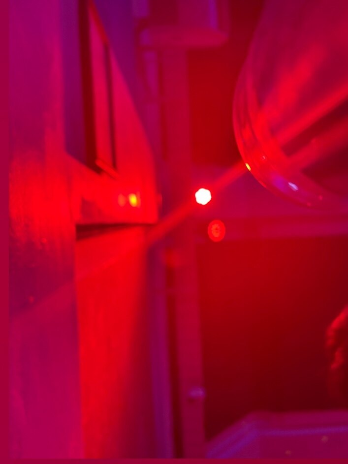 Kinbaku n banner image