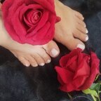🌹🍀Aylany🌹🍀 avatar