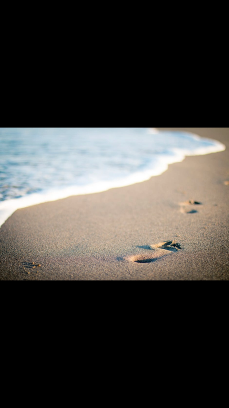 Silkysteps cover image