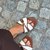 Secret.scolar.feet avatar
