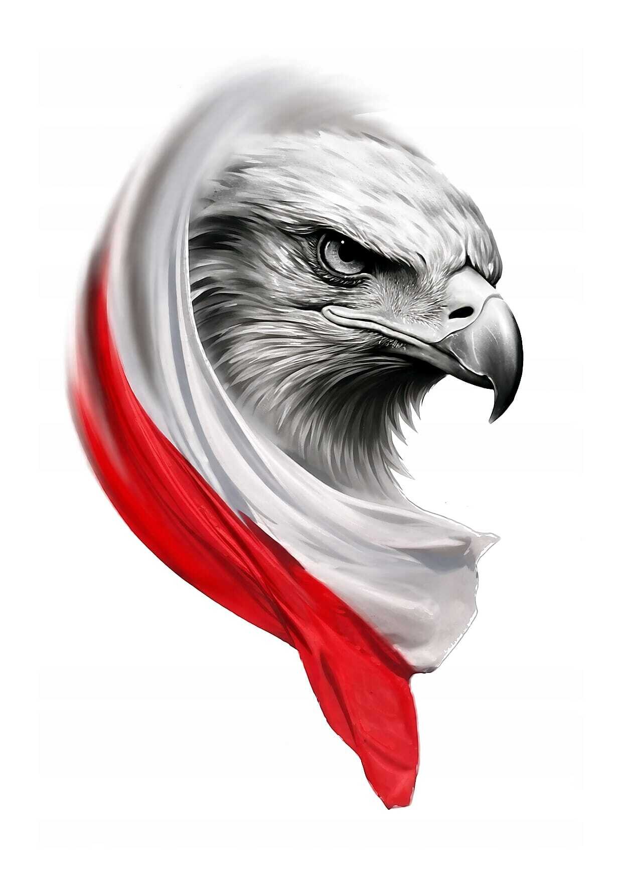 BB banner image