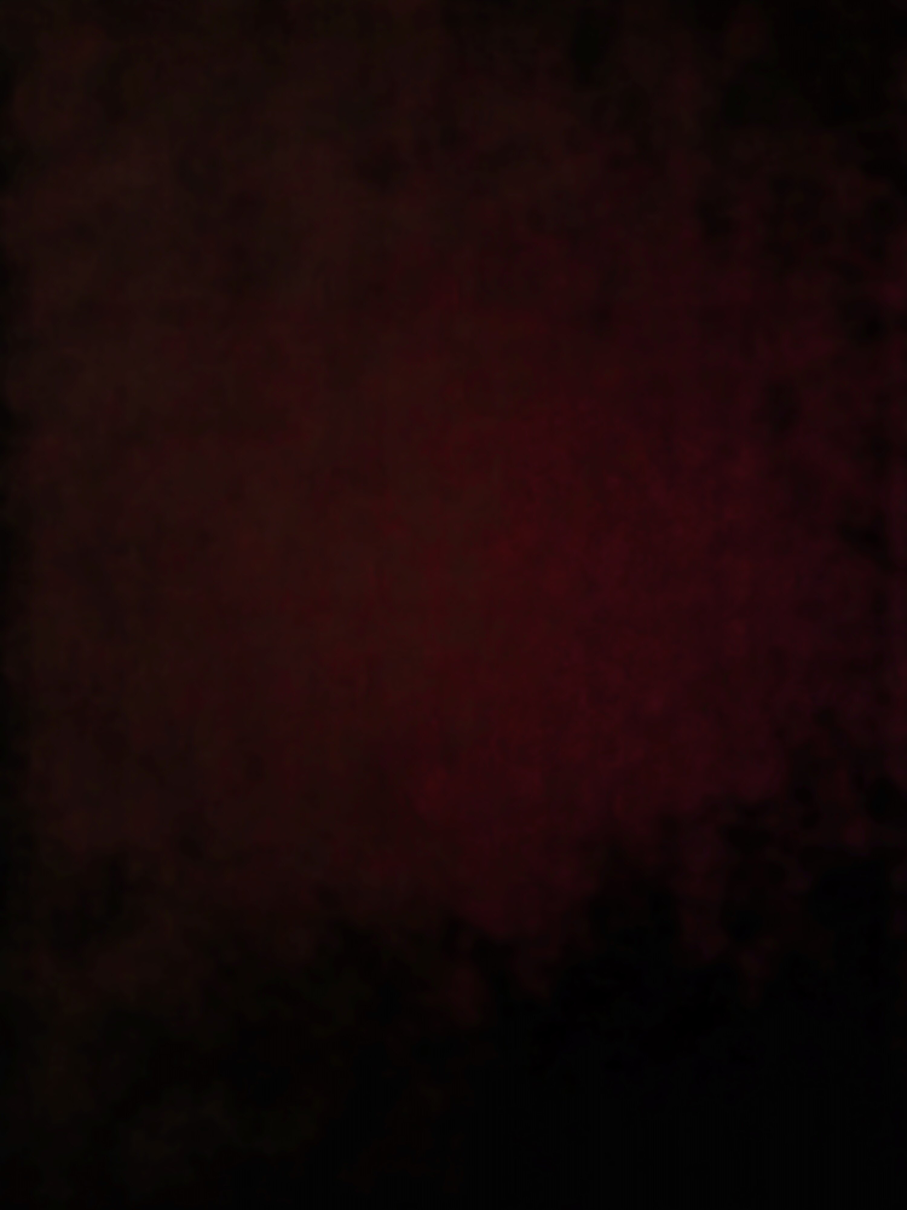 J. Rose banner image