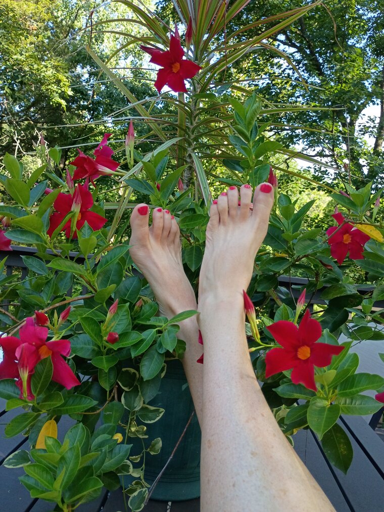 SoleMatesOnlyxox banner image
