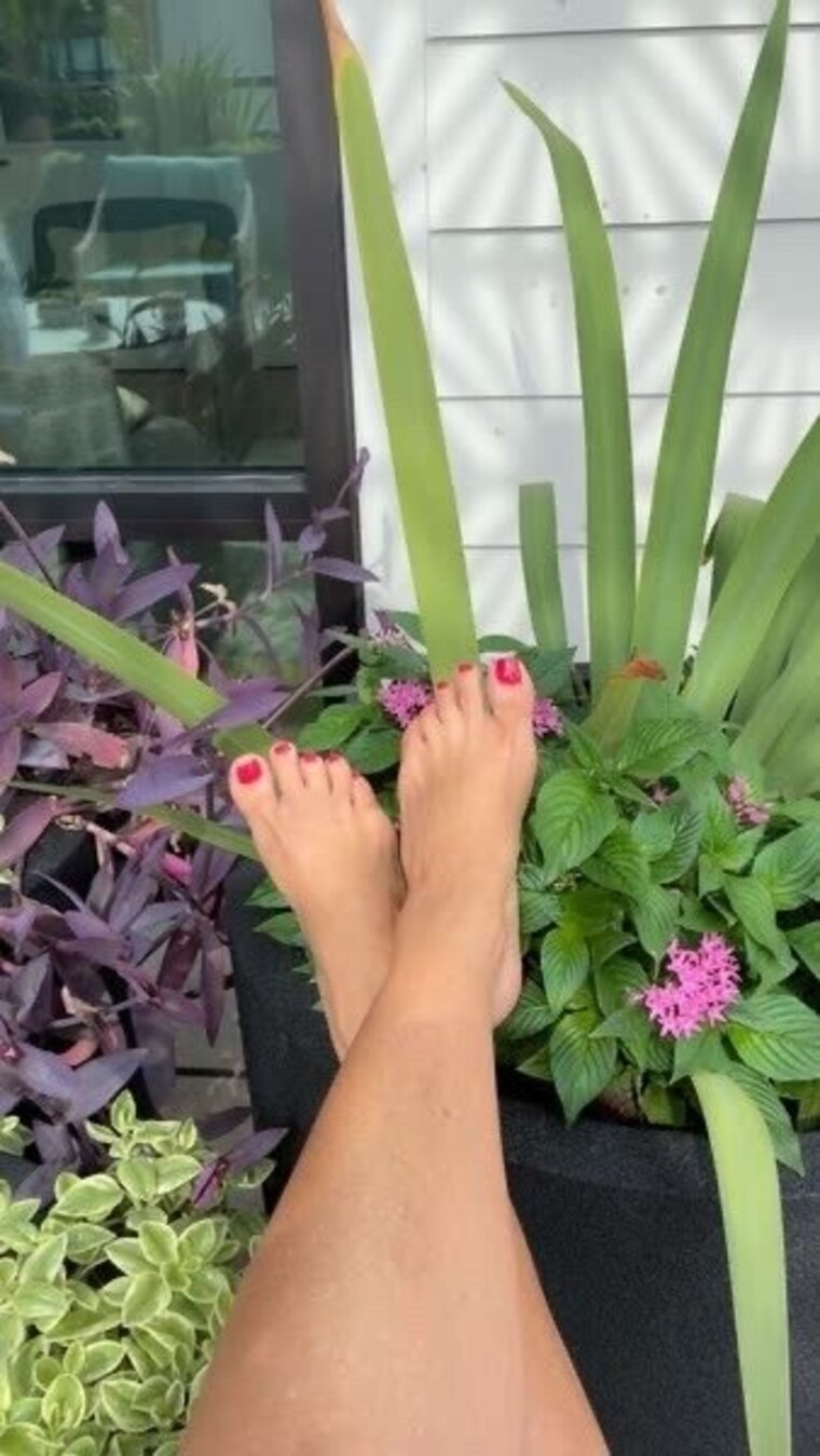 Ava from the Isles cover image