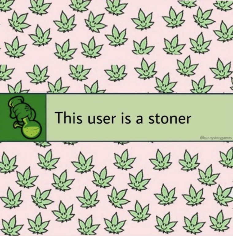 Stoner Sky cover image