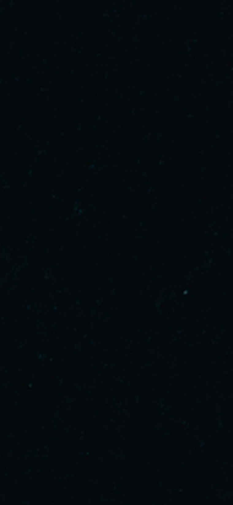 Polarbear cover image