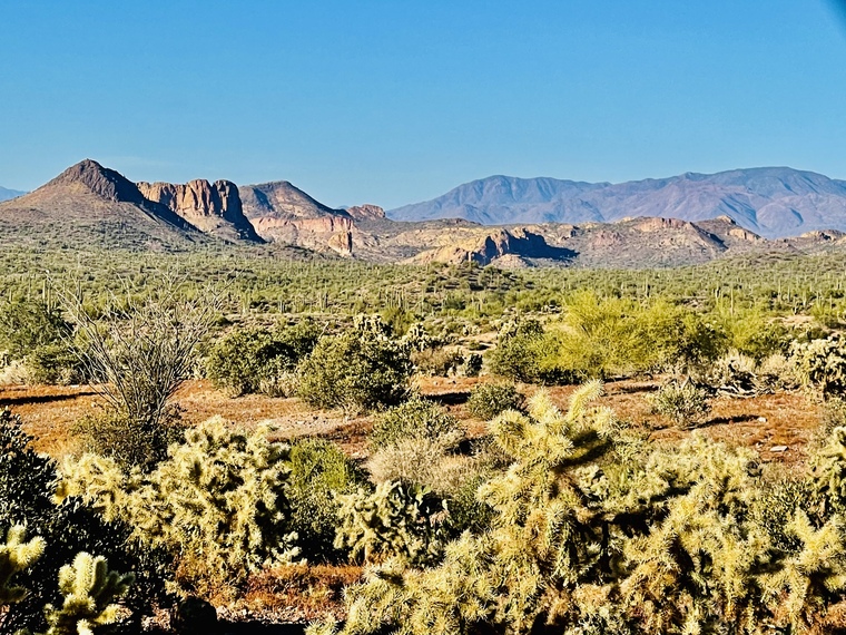 Scotty Travels cover image