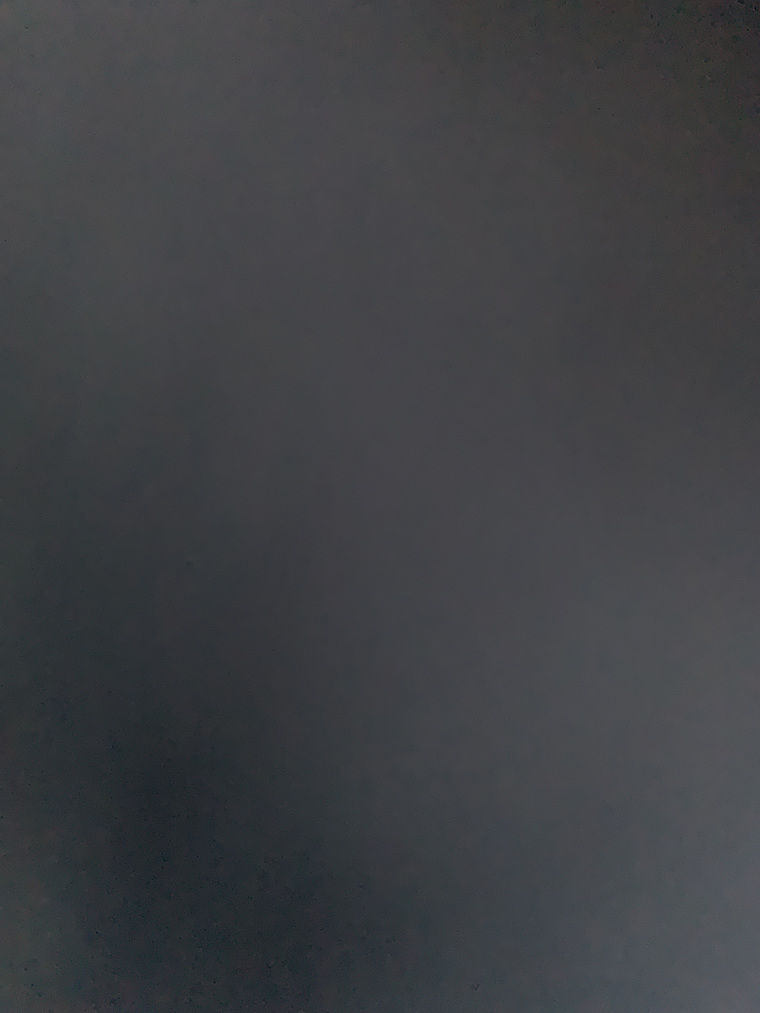 Rose Dallas cover image