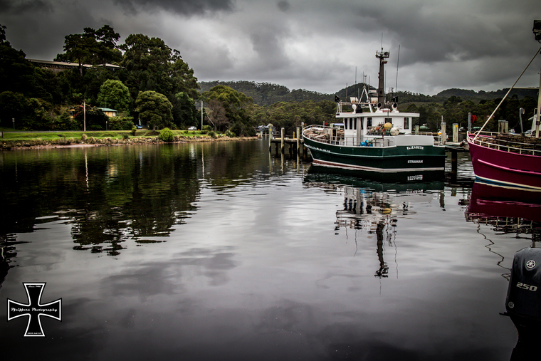 Tasmanian Viking cover image