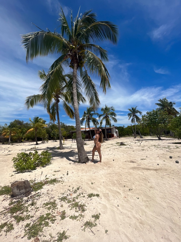 u6698541 cover image