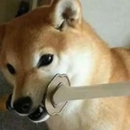 Diddy pup avatar