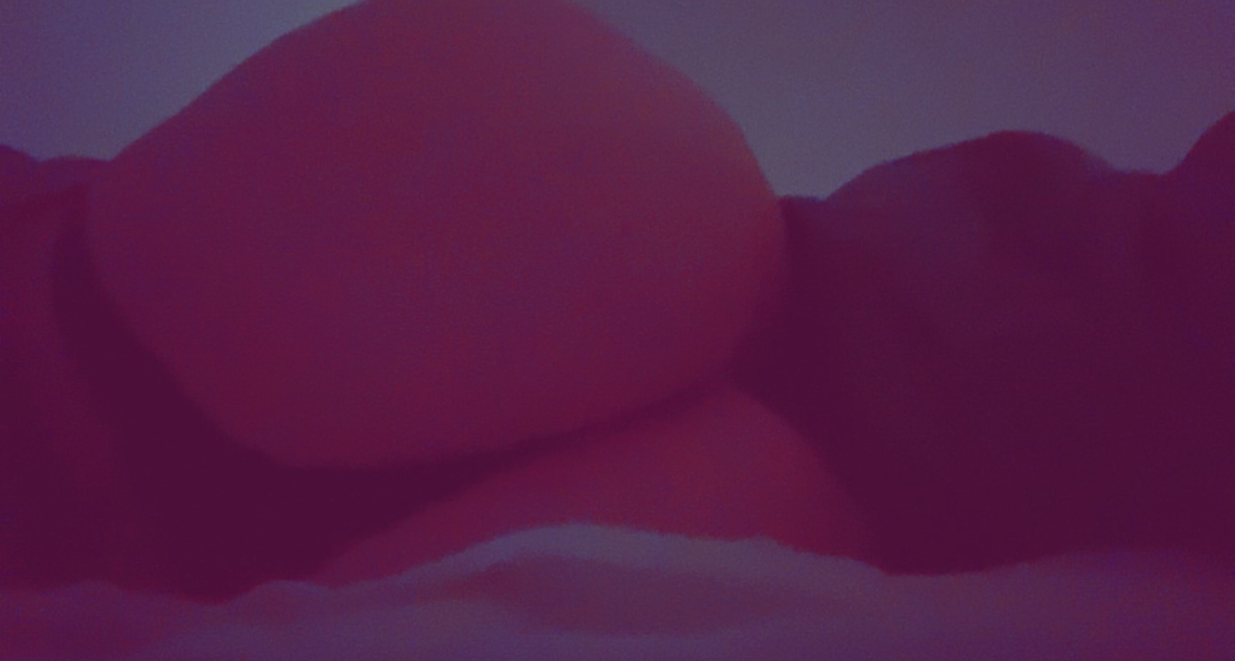 Miss Deedee banner image
