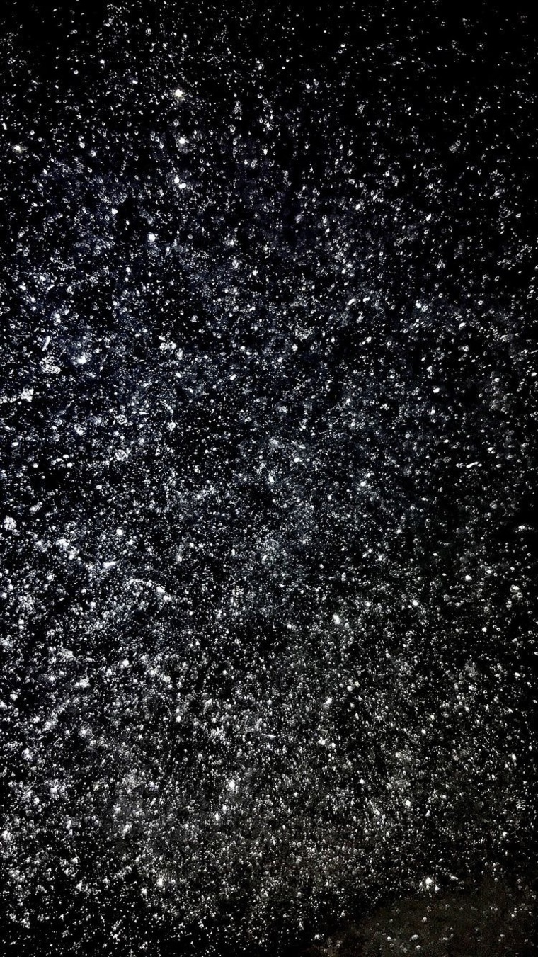 VeronicaV4 banner image