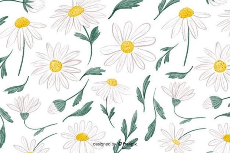 ♡ Simmie ♡ banner image