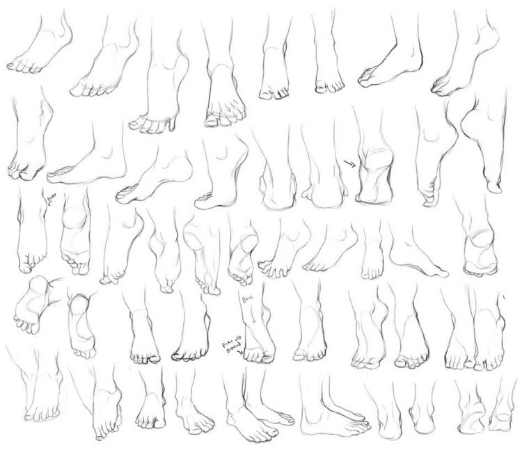 FairyFeet banner image