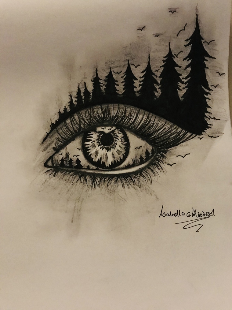 Isabella Hubred banner image