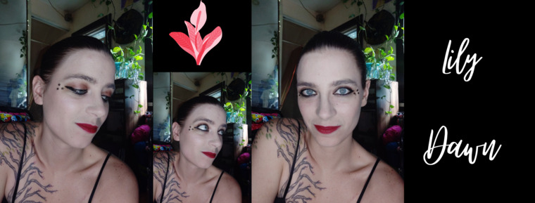 Lily Dawn cover image