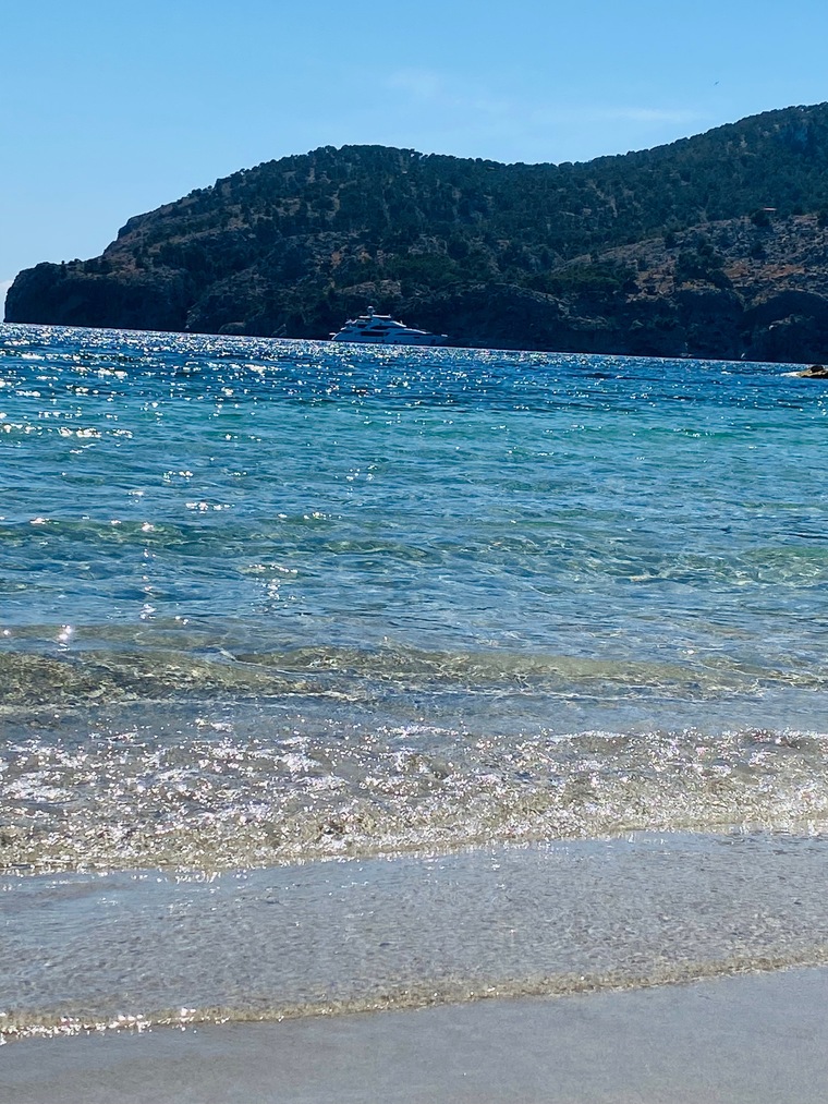 Squalo banner image