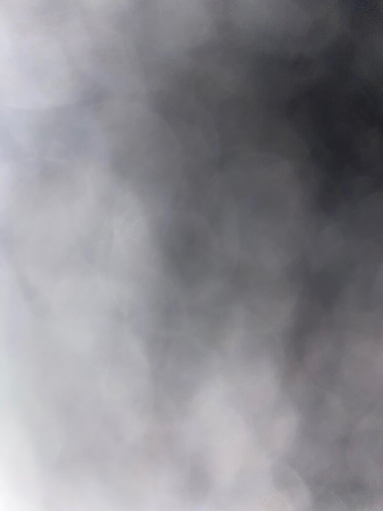 Blacklobes banner image