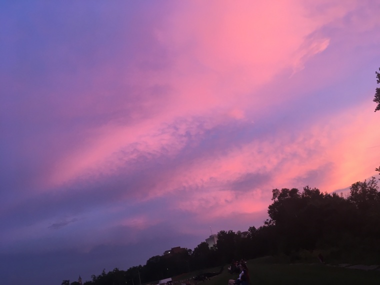Kaylee banner image