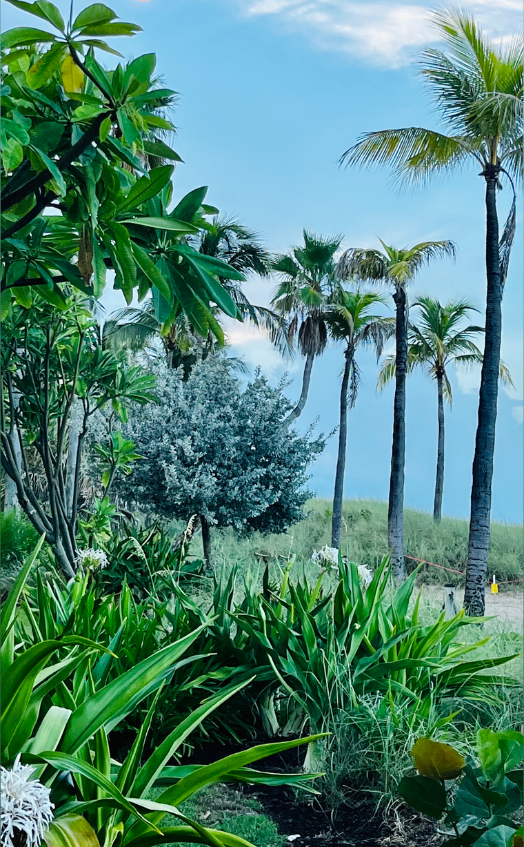 Jennaland banner image