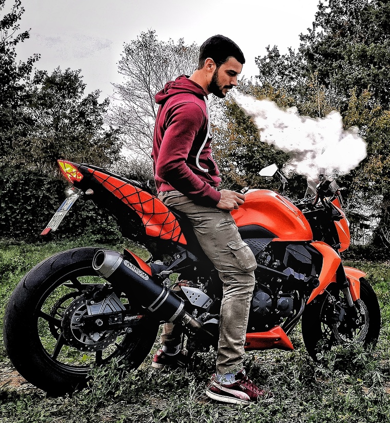 Luis V cover image