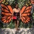 Anesia Wright avatar