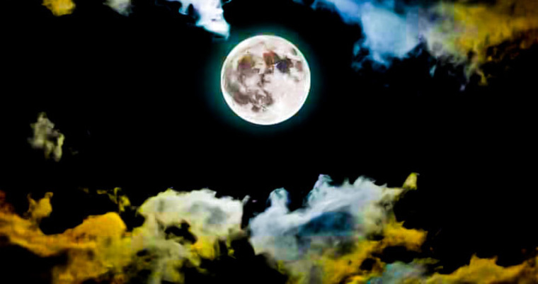 u85841762 cover image