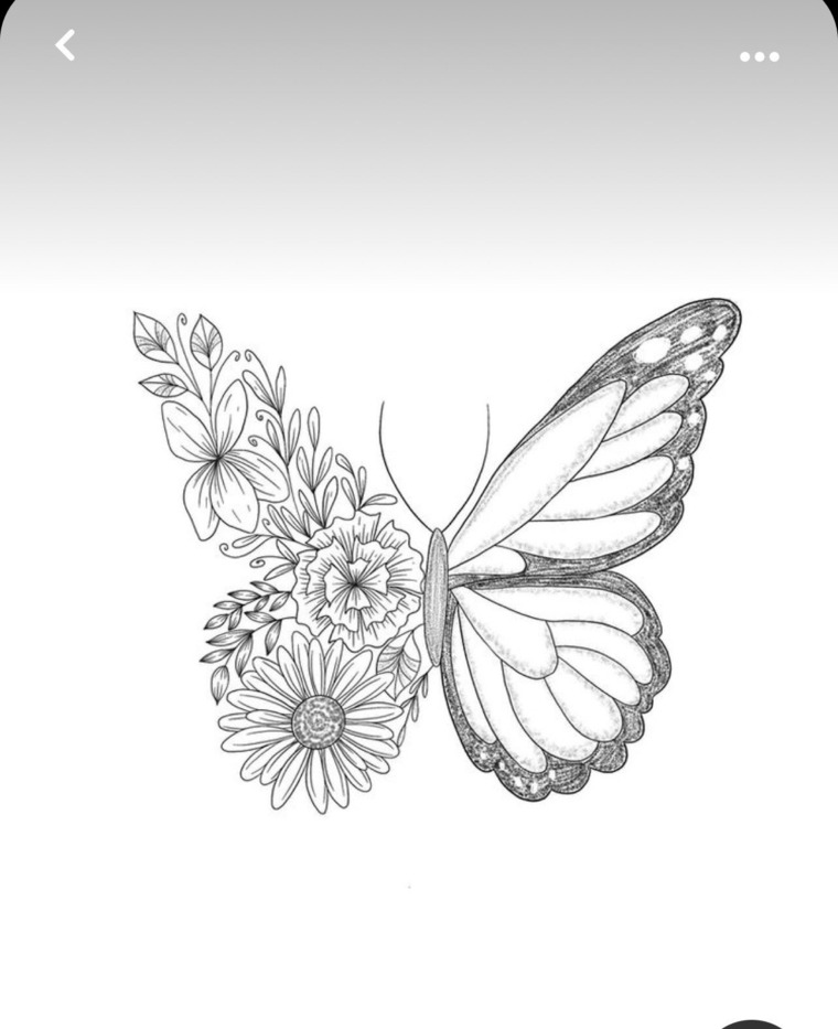 Beautiful Butterfly🦋 cover image