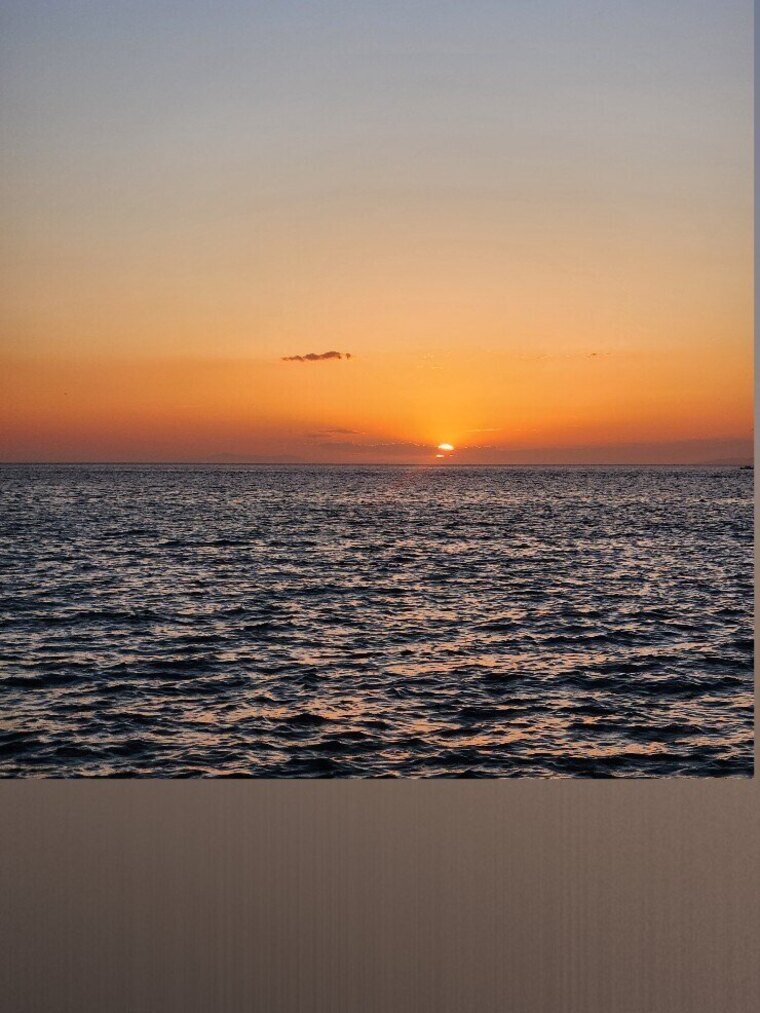 miss sunshine cover image