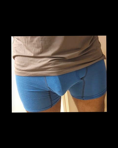Big Dick Stallion cover image