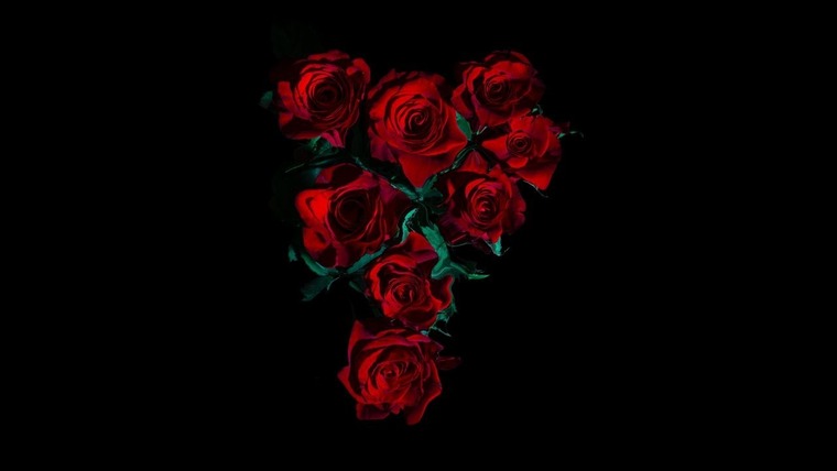 Nayleria Rose cover image
