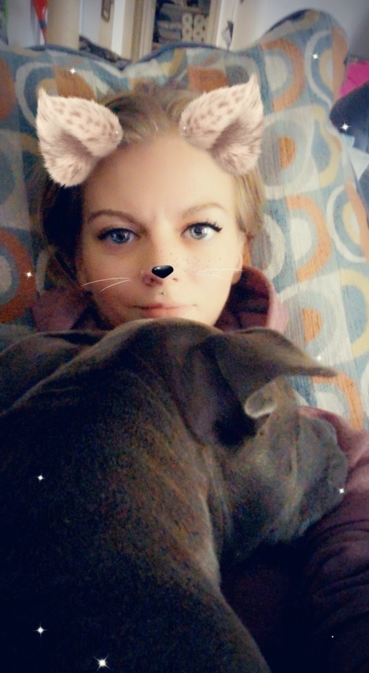 LilyVixen banner image