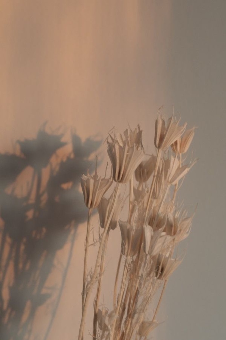 missmara banner image