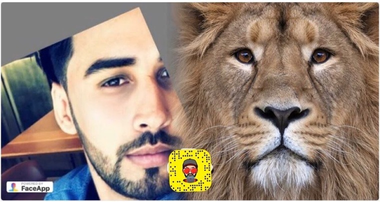 King of Arab cover image