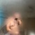 UCotterpop avatar